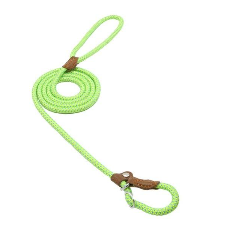 Set de Collar y Correa para Perros Nylon Pup – Resistente y Ajustable