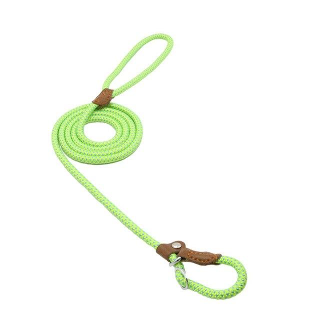 Set de Collar y Correa para Perros Nylon Pup – Resistente y Ajustable