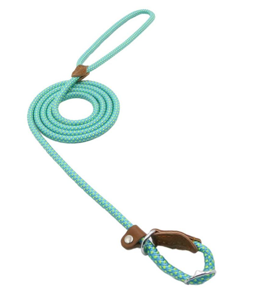 Set de Collar y Correa para Perros Nylon Pup – Resistente y Ajustable