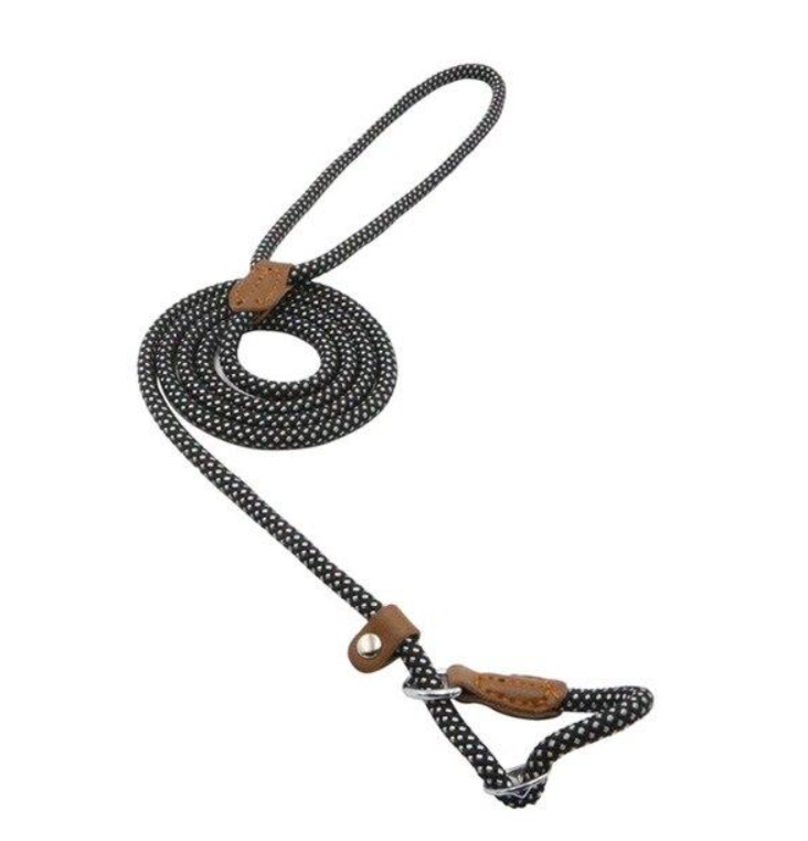 Set de Collar y Correa para Perros Nylon Pup – Resistente y Ajustable