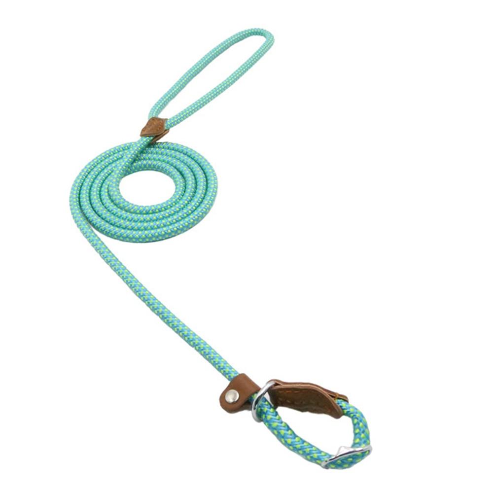 Set de Collar y Correa para Perros Nylon Pup – Resistente y Ajustable