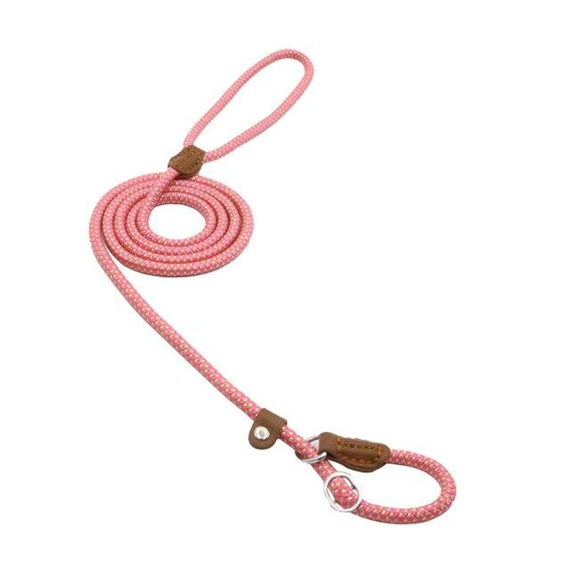 Set de Collar y Correa para Perros Nylon Pup – Resistente y Ajustable