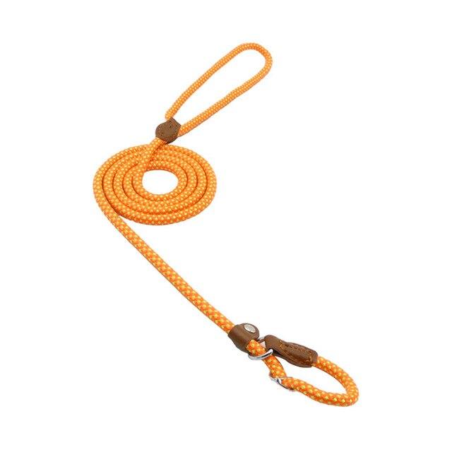 Set de Collar y Correa para Perros Nylon Pup – Resistente y Ajustable