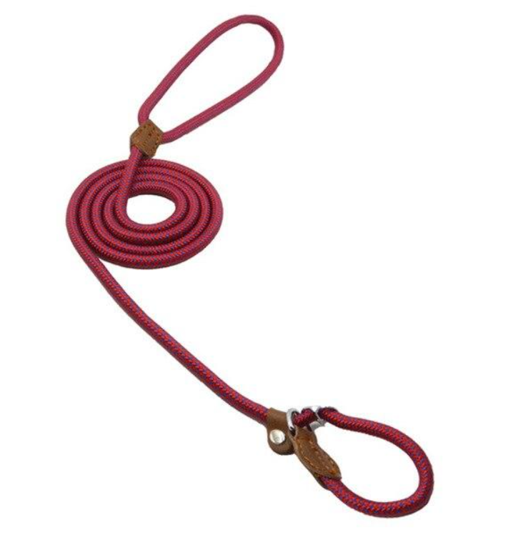 Set de Collar y Correa para Perros Nylon Pup – Resistente y Ajustable