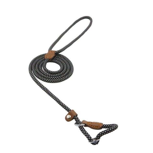 Set de Collar y Correa para Perros Nylon Pup – Resistente y Ajustable