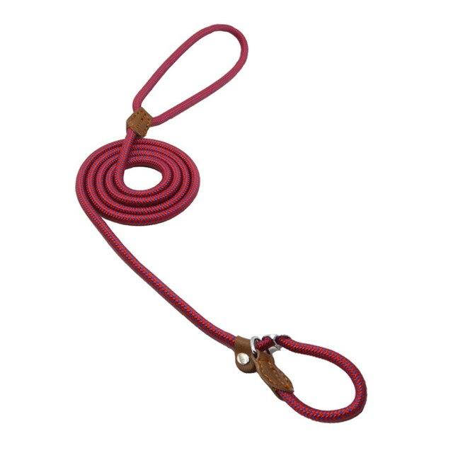 Set de Collar y Correa para Perros Nylon Pup – Resistente y Ajustable