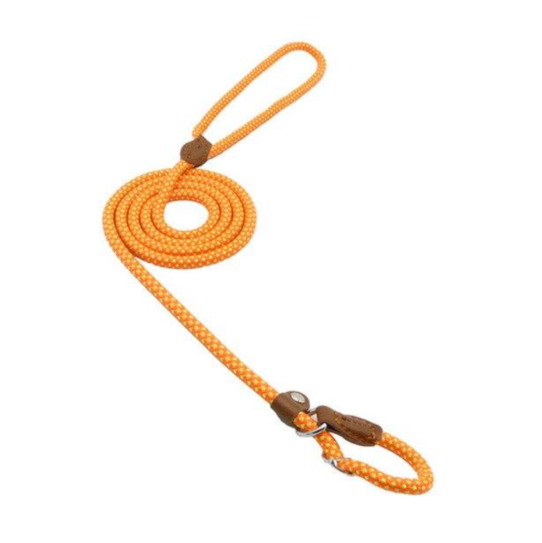 Set de Collar y Correa para Perros Nylon Pup – Resistente y Ajustable
